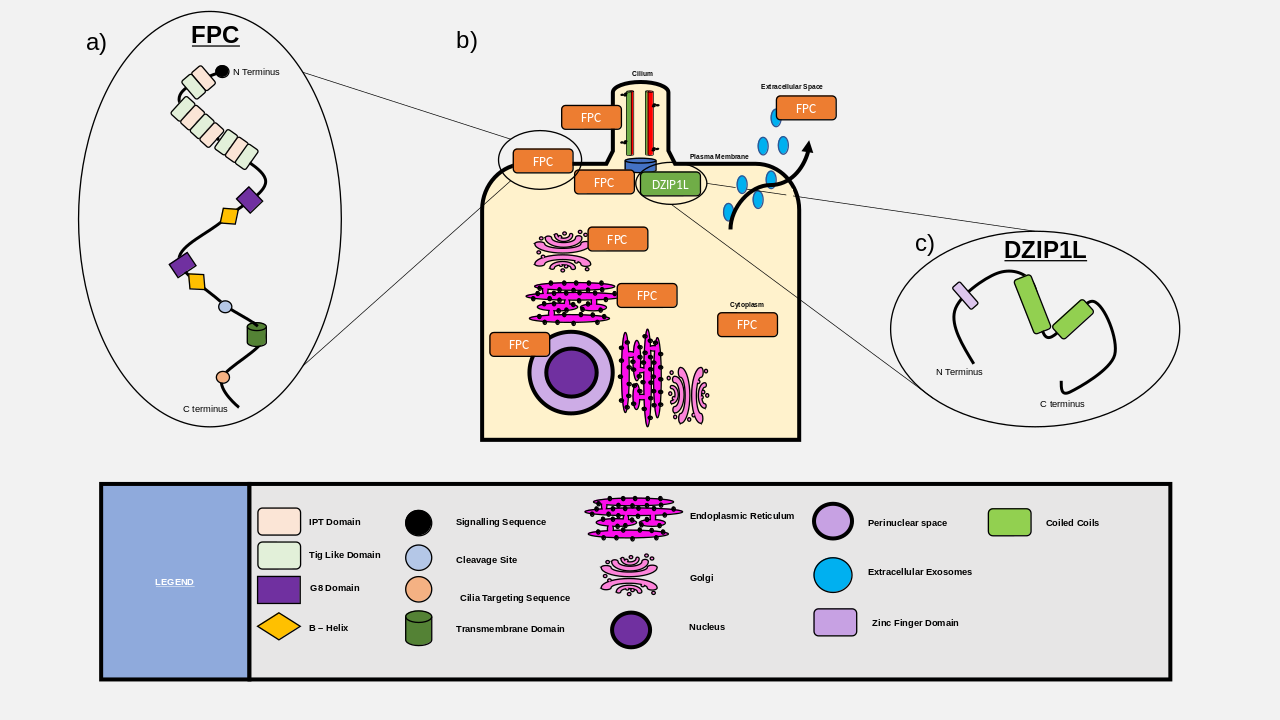 Featured Presentation